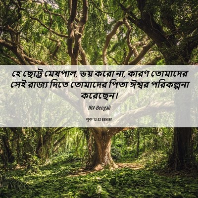 Picture 06 - লূক 12:32 BENIRV - হে ছোট্ট মেষপাল, - Bible Verse Picture