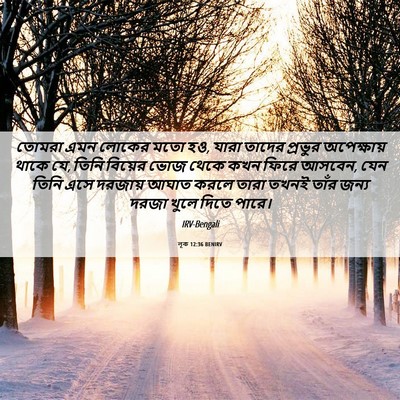 Picture 06 - লূক 12:36 BENIRV - তোমরা এমন লোকের - Bible Verse Picture