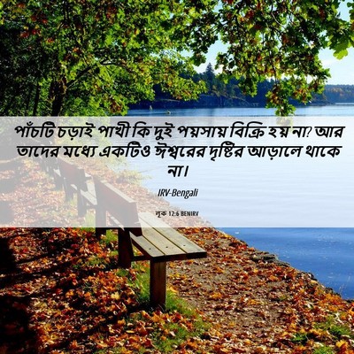 Picture 06 - লূক 12:6 BENIRV - পাঁচটি চড়াই পাখী - Bible Verse Picture