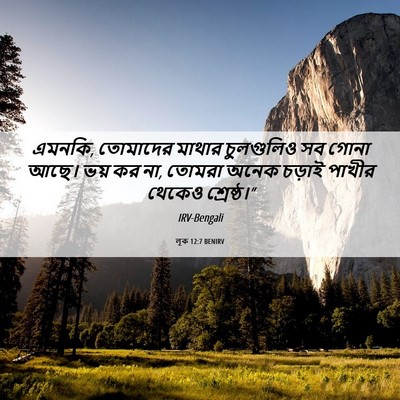Picture 06 - লূক 12:7 BENIRV - এমনকি, তোমাদের - Bible Verse Picture