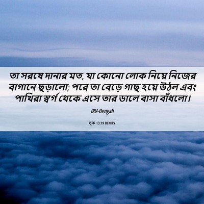Picture 06 - লূক 13:19 BENIRV - তা সরষে দানার মত, - Bible Verse Picture