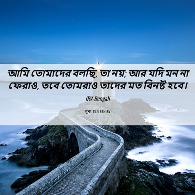 Picture 06 - লূক 13:3 BENIRV - আমি তোমাদের বলছি, - Bible Verse Picture
