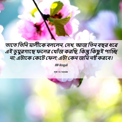 Picture 06 - লূক 13:7 BENIRV - তাতে তিনি মালীকে - Bible Verse Picture