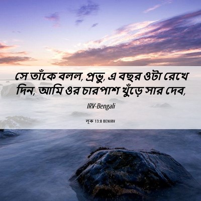 Picture 06 - লূক 13:8 BENIRV - সে তাঁকে বলল, - Bible Verse Picture