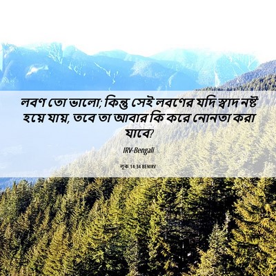 Picture 06 - লূক 14:34 BENIRV - লবণ তো ভালো; কিন্তু - Bible Verse Picture