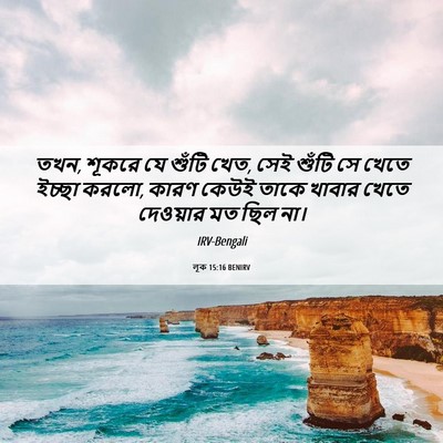 Picture 06 - লূক 15:16 BENIRV - তখন, শূকরে যে শুঁটি - Bible Verse Picture