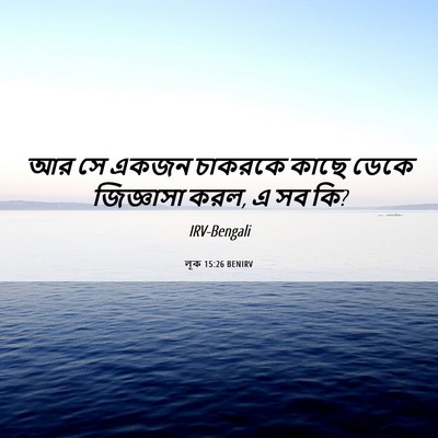Picture 06 - লূক 15:26 BENIRV - আর সে একজন চাকরকে - Bible Verse Picture
