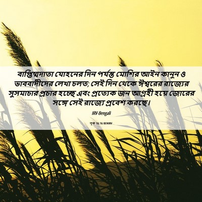 Picture 06 - লূক 16:16 BENIRV - বাপ্তিষ্মদাতা - Bible Verse Picture