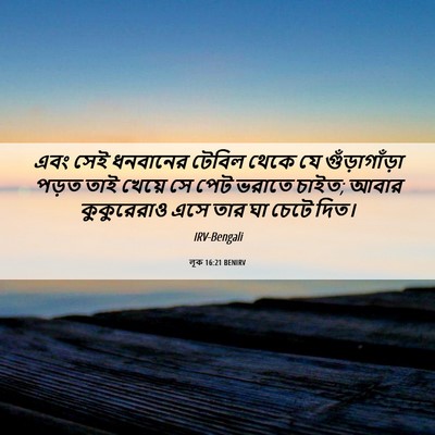Picture 06 - লূক 16:21 BENIRV - এবং সেই ধনবানের - Bible Verse Picture
