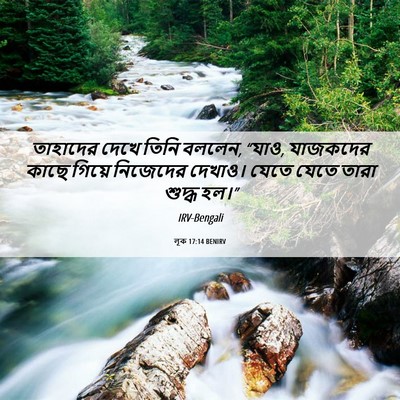 Picture 06 - লূক 17:14 BENIRV - তাহাদের দেখে তিনি - Bible Verse Picture