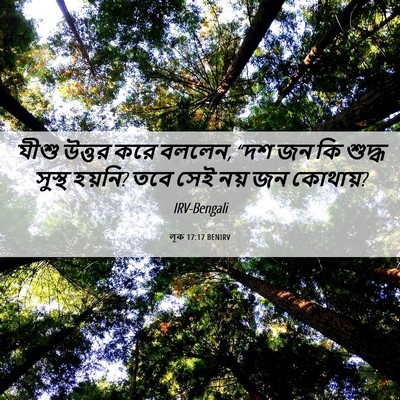 Picture 06 - লূক 17:17 BENIRV - যীশু উত্তর করে - Bible Verse Picture