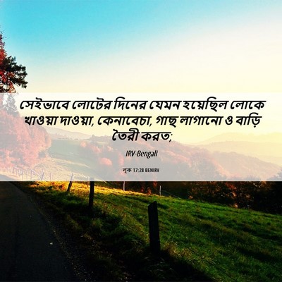 Picture 06 - লূক 17:28 BENIRV - সেইভাবে লোটের - Bible Verse Picture