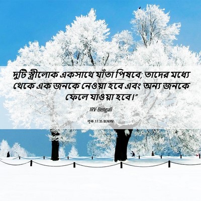 Picture 06 - লূক 17:35 BENIRV - দুটি স্ত্রীলোক - Bible Verse Picture
