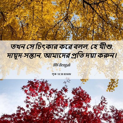 Picture 06 - লূক 18:38 BENIRV - তখন সে চিৎকার করে - Bible Verse Picture