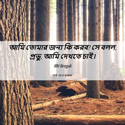 Picture 06 - লূক 18:41 BENIRV - আমি তোমার জন্য কি - Bible Verse Picture