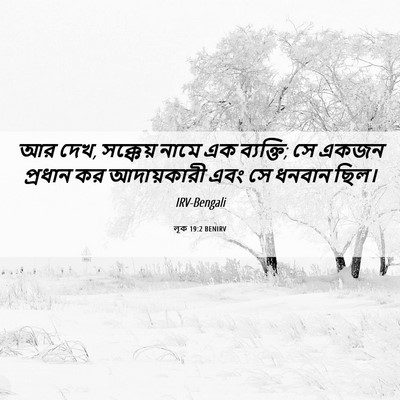 Picture 06 - লূক 19:2 BENIRV - আর দেখ, সক্কেয় - Bible Verse Picture
