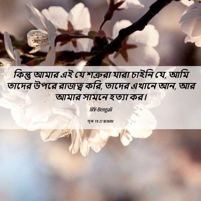 Picture 06 - লূক 19:27 BENIRV - কিন্তু আমার এই যে - Bible Verse Picture
