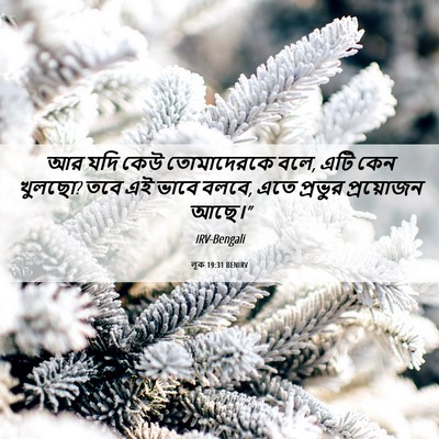 Picture 06 - লূক 19:31 BENIRV - আর যদি কেউ - Bible Verse Picture
