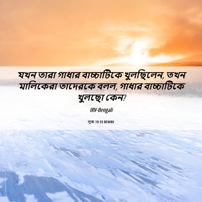 Picture 06 - লূক 19:33 BENIRV - যখন তারা গাধার - Bible Verse Picture
