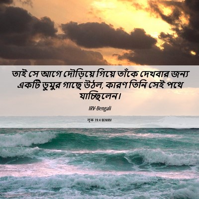 Picture 06 - লূক 19:4 BENIRV - তাই সে আগে - Bible Verse Picture