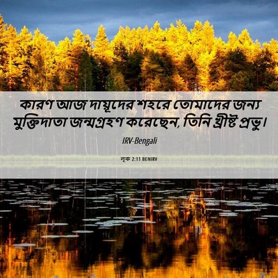 Picture 06 - লূক 2:11 BENIRV - কারণ আজ দায়ূদের - Bible Verse Picture