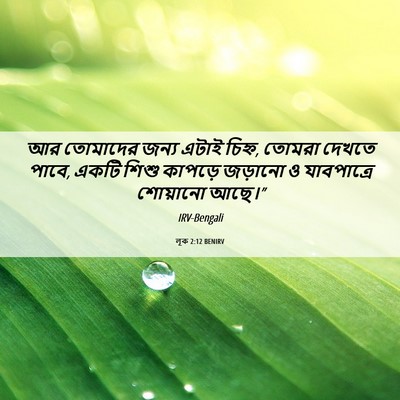 Picture 06 - লূক 2:12 BENIRV - আর তোমাদের জন্য - Bible Verse Picture