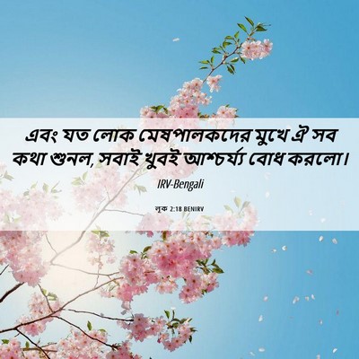 Picture 06 - লূক 2:18 BENIRV - এবং যত লোক - Bible Verse Picture