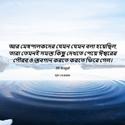 Picture 06 - লূক 2:20 BENIRV - আর মেষপালকদের - Bible Verse Picture