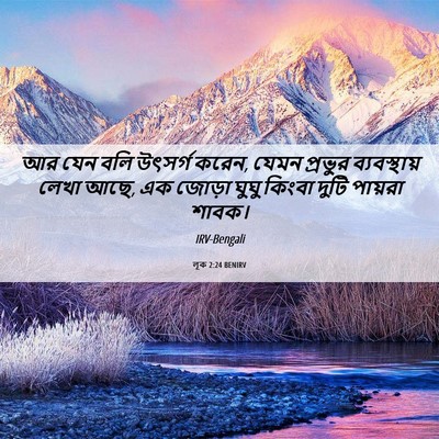 Picture 06 - লূক 2:24 BENIRV - আর যেন বলি উৎসর্গ - Bible Verse Picture
