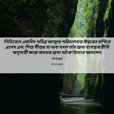 Picture 06 - লূক 2:27 BENIRV - শিমিয়োন একদিন - Bible Verse Picture