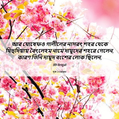 Picture 06 - লূক 2:4 BENIRV - আর যোষেফও গালীলের - Bible Verse Picture