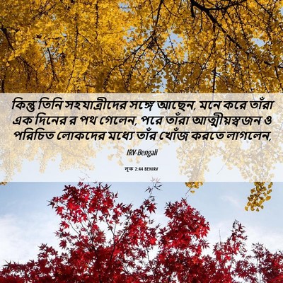 Picture 06 - লূক 2:44 BENIRV - কিন্তু তিনি - Bible Verse Picture