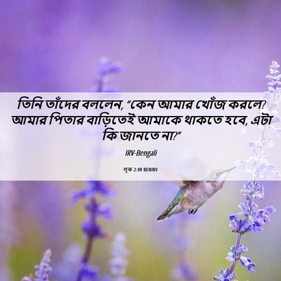 Picture 06 - লূক 2:49 BENIRV - তিনি তাঁদের বললেন, - Bible Verse Picture