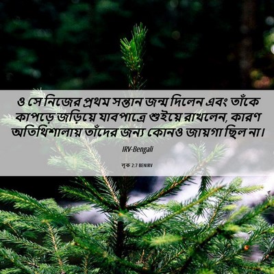 Picture 06 - লূক 2:7 BENIRV - ও সে নিজের প্রথম - Bible Verse Picture