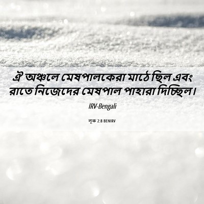 Picture 06 - লূক 2:8 BENIRV - ঐ অঞ্চলে - Bible Verse Picture