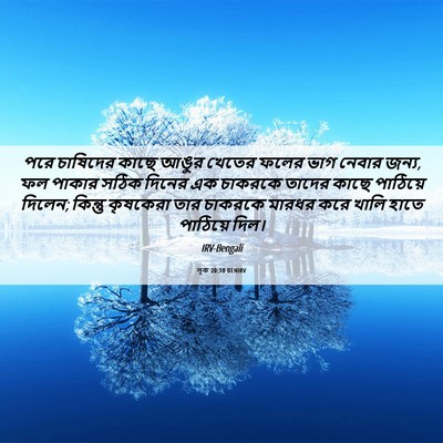 Picture 06 - লূক 20:10 BENIRV - পরে চাষিদের কাছে - Bible Verse Picture