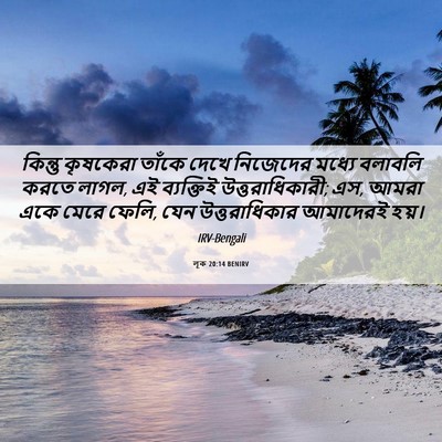 Picture 06 - লূক 20:14 BENIRV - কিন্তু কৃষকেরা - Bible Verse Picture
