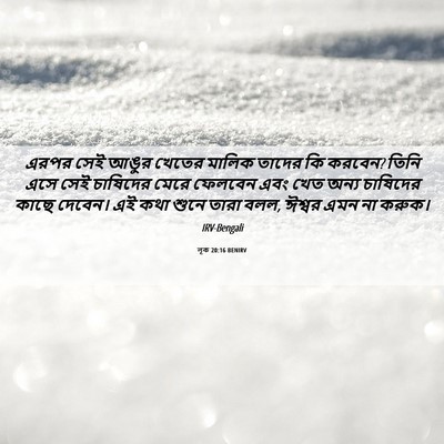 Picture 06 - লূক 20:16 BENIRV - এরপর সেই আঙুর - Bible Verse Picture