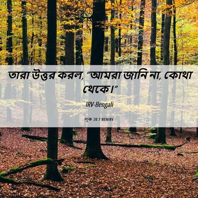 Picture 06 - লূক 20:7 BENIRV - তারা উত্তর করল, - Bible Verse Picture