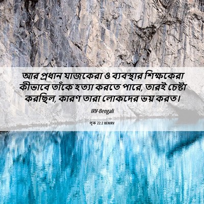 Picture 06 - লূক 22:2 BENIRV - আর প্রধান যাজকেরা - Bible Verse Picture