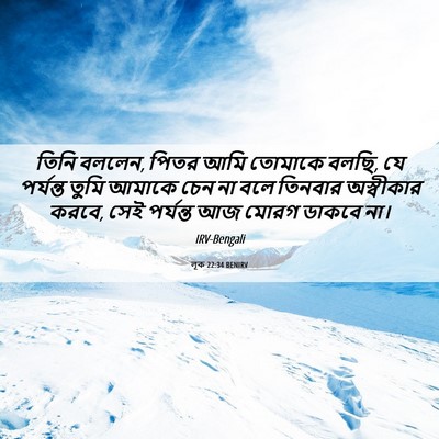 Picture 06 - লূক 22:34 BENIRV - তিনি বললেন, পিতর - Bible Verse Picture