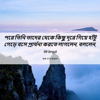 Picture 06 - লূক 22:41 BENIRV - পরে তিনি তাদের - Bible Verse Picture