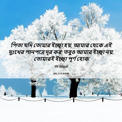 Picture 06 - লূক 22:42 BENIRV - পিতা যদি তোমার - Bible Verse Picture