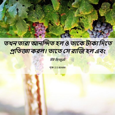 Picture 06 - লূক 22:5 BENIRV - তখন তারা আনন্দিত - Bible Verse Picture
