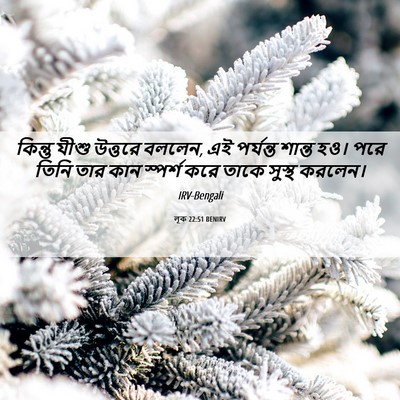 Picture 06 - লূক 22:51 BENIRV - কিন্তু যীশু - Bible Verse Picture