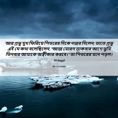 Picture 06 - লূক 22:61 BENIRV - আর প্রভু মুখ - Bible Verse Picture