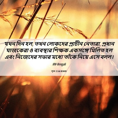 Picture 06 - লূক 22:66 BENIRV - যখন দিন হল, তখন - Bible Verse Picture