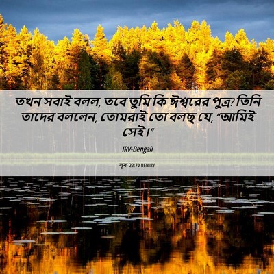 Picture 06 - লূক 22:70 BENIRV - তখন সবাই বলল, তবে - Bible Verse Picture