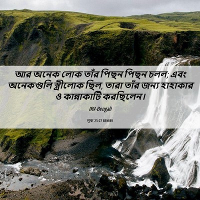 Picture 06 - লূক 23:27 BENIRV - আর অনেক লোক তাঁর - Bible Verse Picture