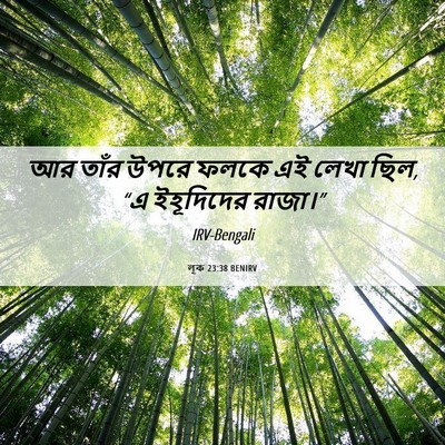 Picture 06 - লূক 23:38 BENIRV - আর তাঁর উপরে ফলকে - Bible Verse Picture